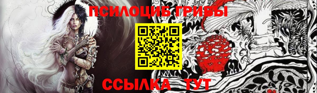 Галлюциногенные грибы GOLDEN TEACHER  Вход с VPN  Орёл 