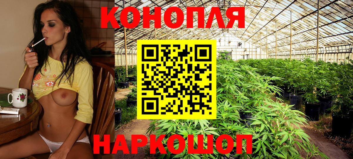 Шишки марихуана THC 21%  Вход с VPN  Орёл  МАРИХУАНА White Widow  Бошки Шишки THC 21% 